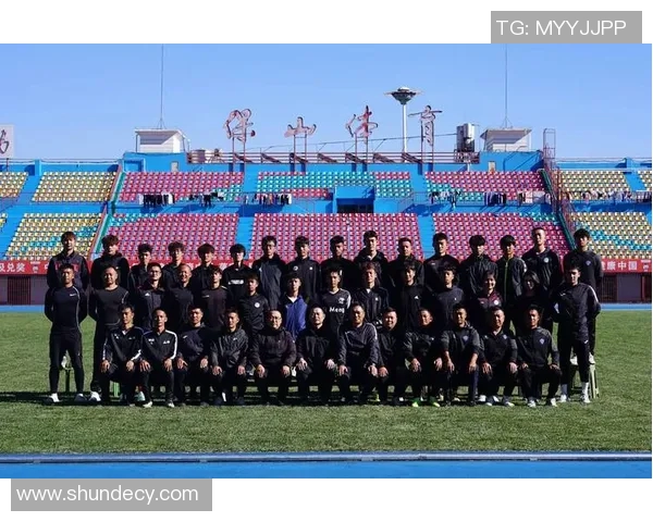 全场拼搏的足球巨星们展现无与伦比的竞技精神与团队合作