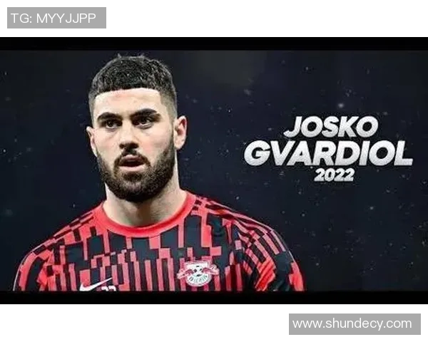 俄罗斯欧洲杯精彩回顾与未来展望球迷热情与赛事影响力的双重交织